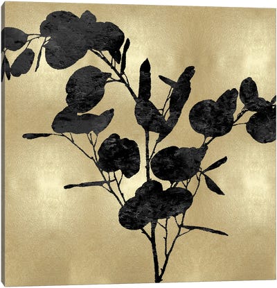 Nature Black On Gold III Canvas Art Print - Danielle Carson