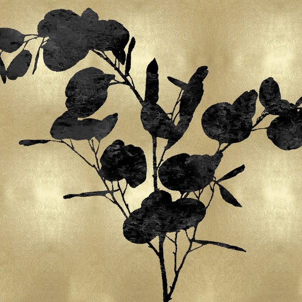 Black & White & Gold: Nature Black On Gold III by Danielle Carson