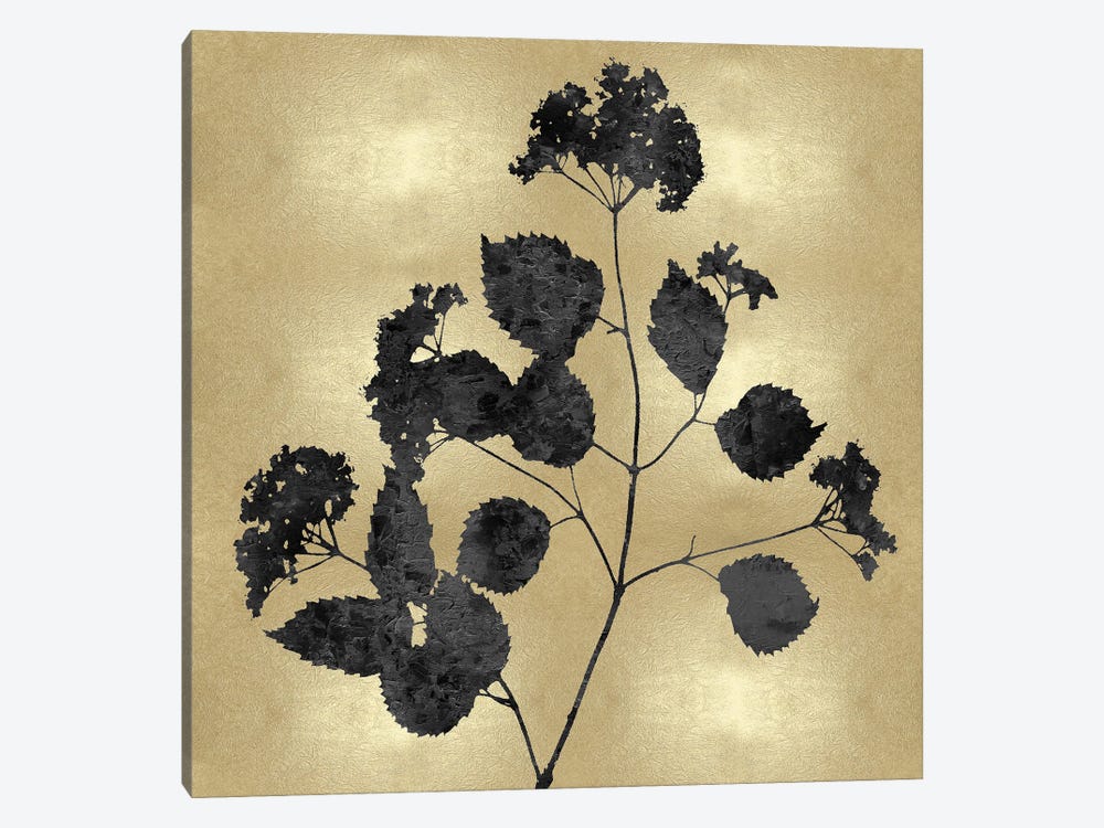 Nature Black On Gold VI by Danielle Carson 1-piece Canvas Print