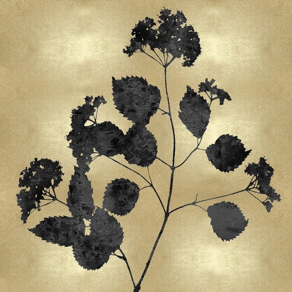 Black & White & Gold: Nature Black On Gold VI by Danielle Carson
