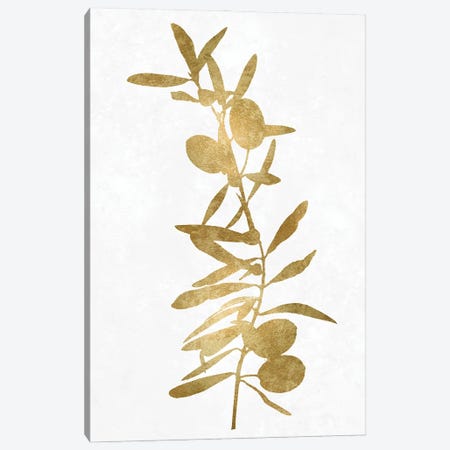 Nature Gold On White IV Canvas Print #DAC129} by Danielle Carson Canvas Art