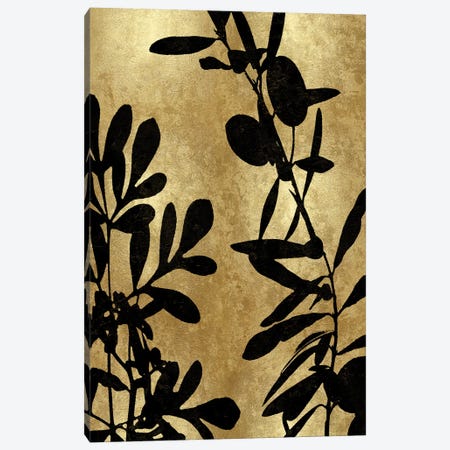 Nature Panel Black On Gold III Canvas Print #DAC136} by Danielle Carson Canvas Wall Art