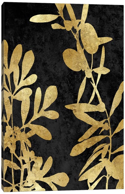Nature Panel Gold On Black III Canvas Art Print
