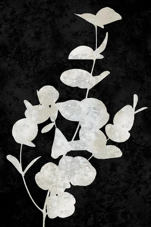 Nature White On Black I by Danielle Carson wall art