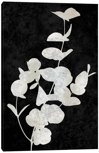 Nature White On Black I Canvas Art Print - Danielle Carson