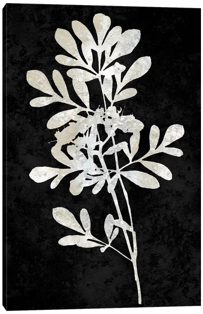Nature White On Black II Canvas Art Print - Danielle Carson