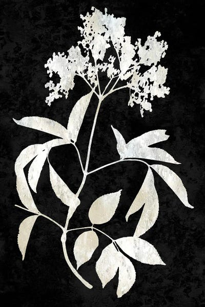 Nature White On Black V by Danielle Carson canvas print