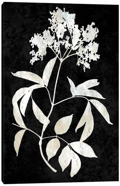 Nature White On Black V Canvas Art Print - Danielle Carson