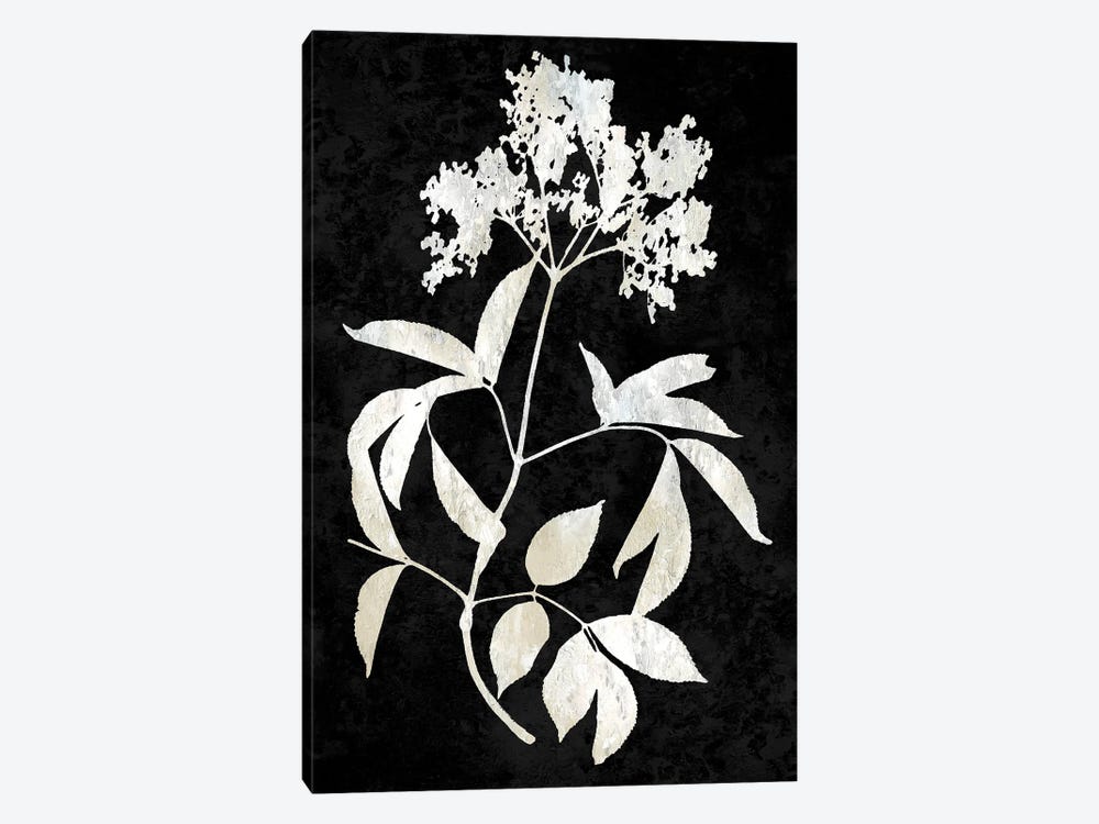 Nature White On Black V by Danielle Carson 1-piece Canvas Wall Art