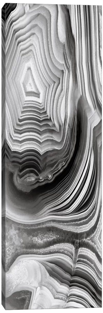 Agate Panel Grey I Canvas Art Print - Black & White Decorative Art