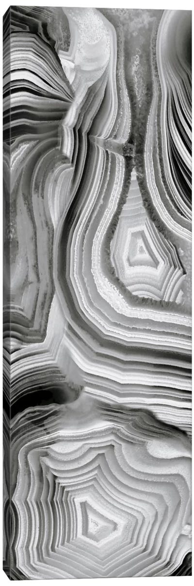 Agate Panel Grey III Canvas Art Print - Danielle Carson