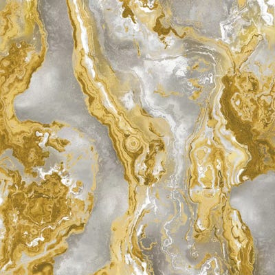 Onyx Golden by Danielle Carson canvas print