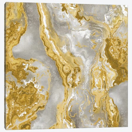 Onyx Golden Canvas Print #DAC70} by Danielle Carson Canvas Artwork