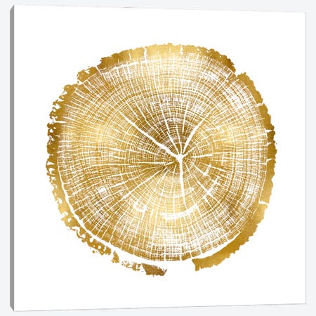 Timber Gold I Canvas Print #DAC78} by Danielle Carson Canvas Art