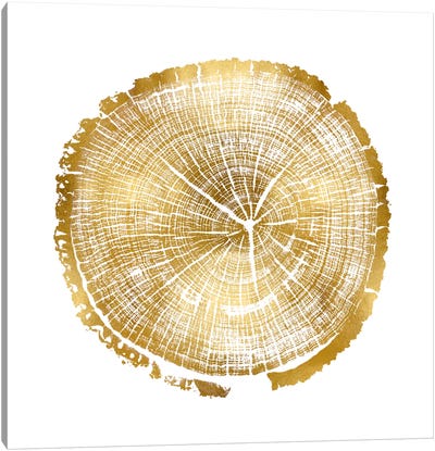 Timber Gold I Canvas Art Print