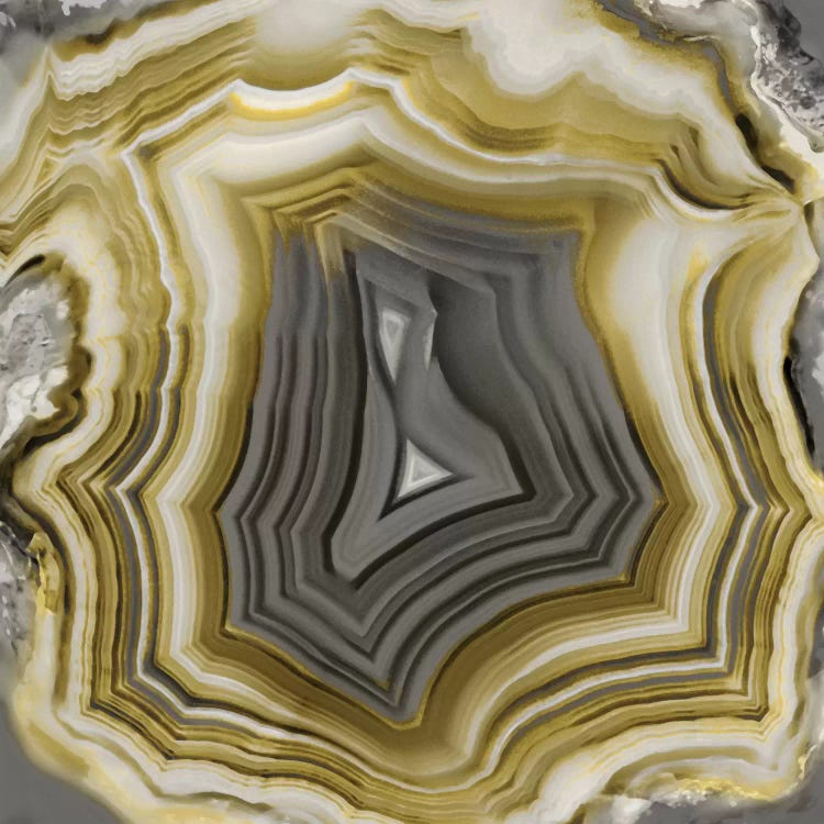 Agate In Gold & Grey by Danielle Carson wall art