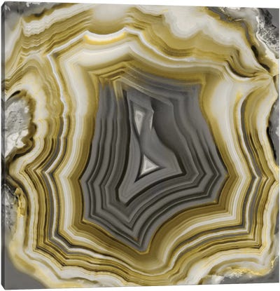 Agate In Gold & Grey Canvas Art Print - Agate, Geode & Mineral Art