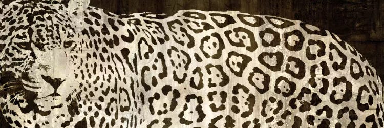Leopard Encounter by Darren Davison wall art