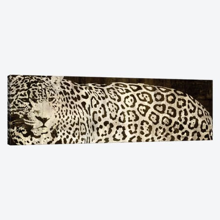 Leopard Encounter Canvas Print #DAD1} by Darren Davison Art Print