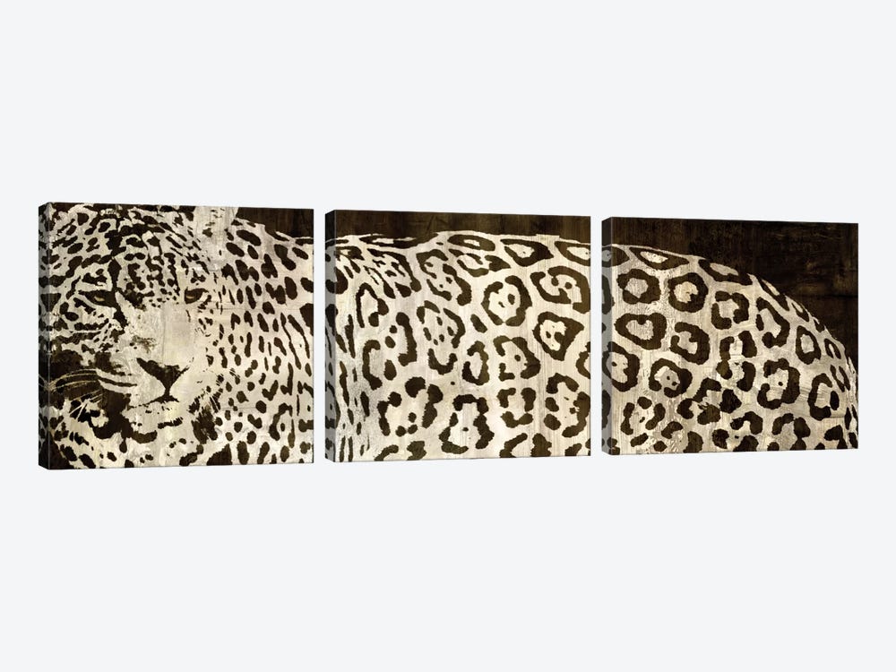 Leopard Encounter by Darren Davison 3-piece Canvas Print