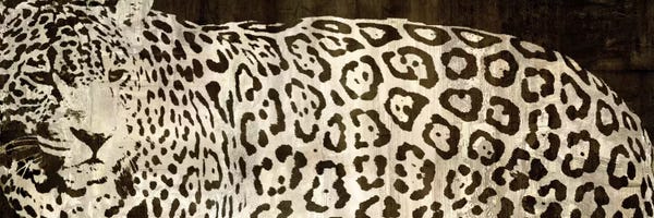 Leopards: Leopard Encounter by Darren Davison