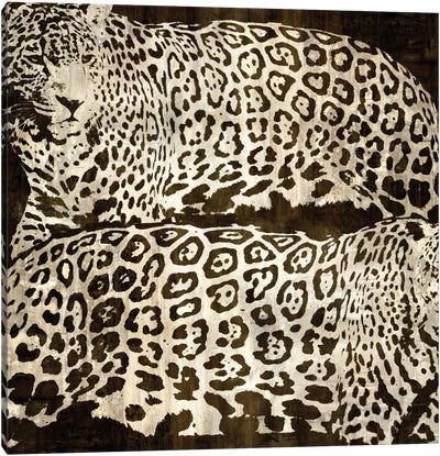 Leopards Canvas Art Print