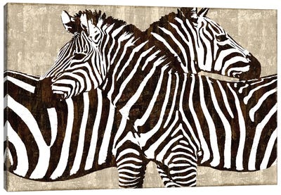 Zebra Gathering Canvas Art Print