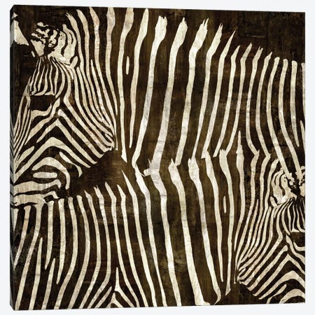 Zebras Canvas Print #DAD4} by Darren Davison Canvas Artwork