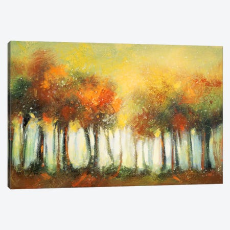Ode To Monet V Canvas Art by DAG, Inc. | iCanvas
