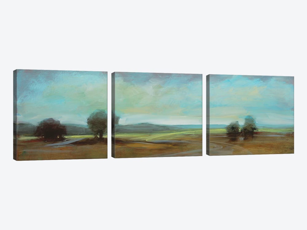 Landscape CI 3-piece Canvas Art Print
