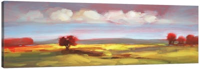 Landscape CV Canvas Art Print