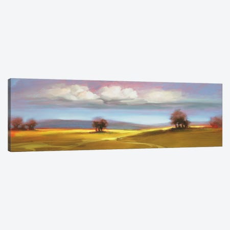 Landscape CVI Canvas Print #DAG30} by DAG, Inc. Canvas Wall Art