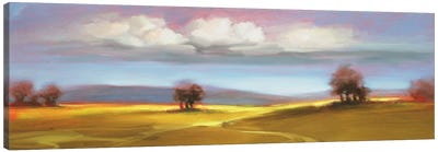 Landscape CVI Canvas Art Print