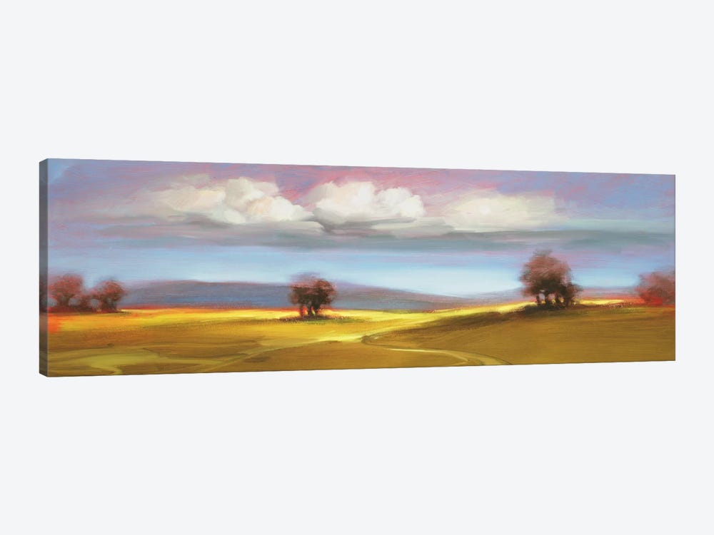Landscape CVI 1-piece Canvas Print