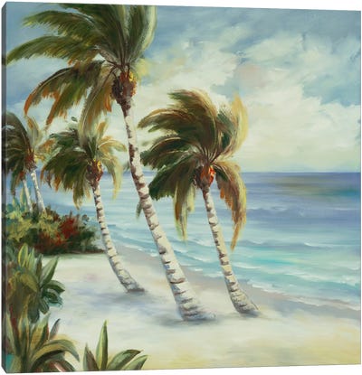 Tropical IV Canvas Art Print - DAG, Inc.