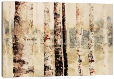 Woodland VI Canvas Art Print - Aspen and Birch Trees