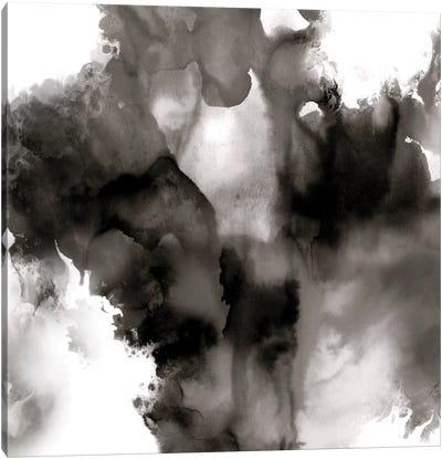 Derive Noir II Canvas Art Print