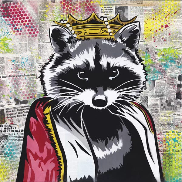 Raccoons: King Of The Streets by Dakota Dean