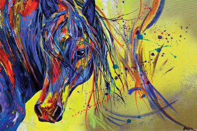 Wind Spirit by Lindsey Dahl framed canvas print