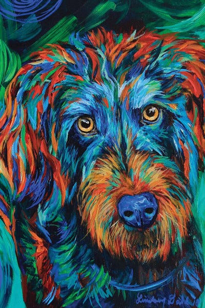 Lindsey Dahl: Morrison by Lindsey Dahl