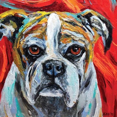 Winston by Lindsey Dahl framed canvas print