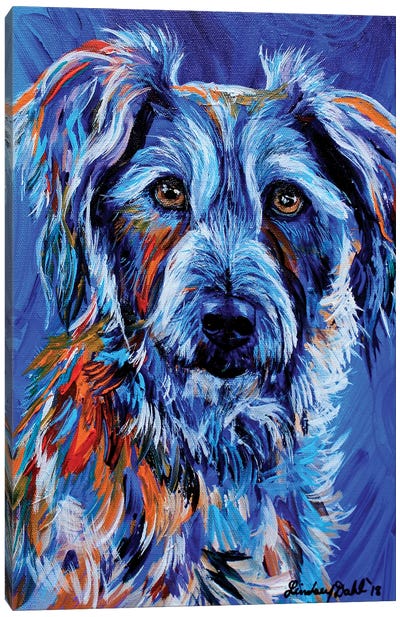 Wolf (The Dog) Canvas Art Print - Lindsey Dahl