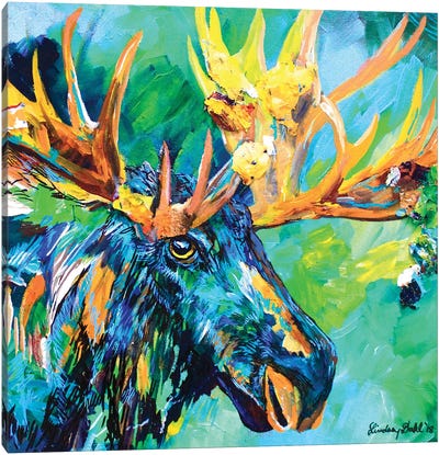 Bob Canvas Art Print - Moose Art