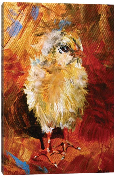 Chick Canvas Art Print - Chicken & Rooster Art