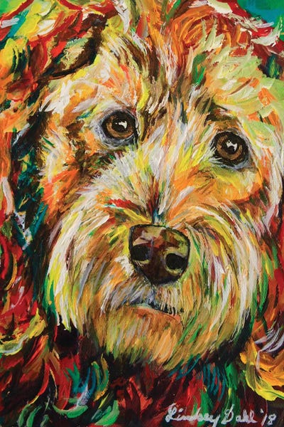 Lindsey Dahl: Goldendoodle by Lindsey Dahl