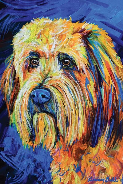 Labradoodles: Labradoodle by Lindsey Dahl
