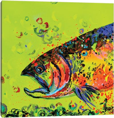 Rainbow Trout Canvas Art Print - Lindsey Dahl