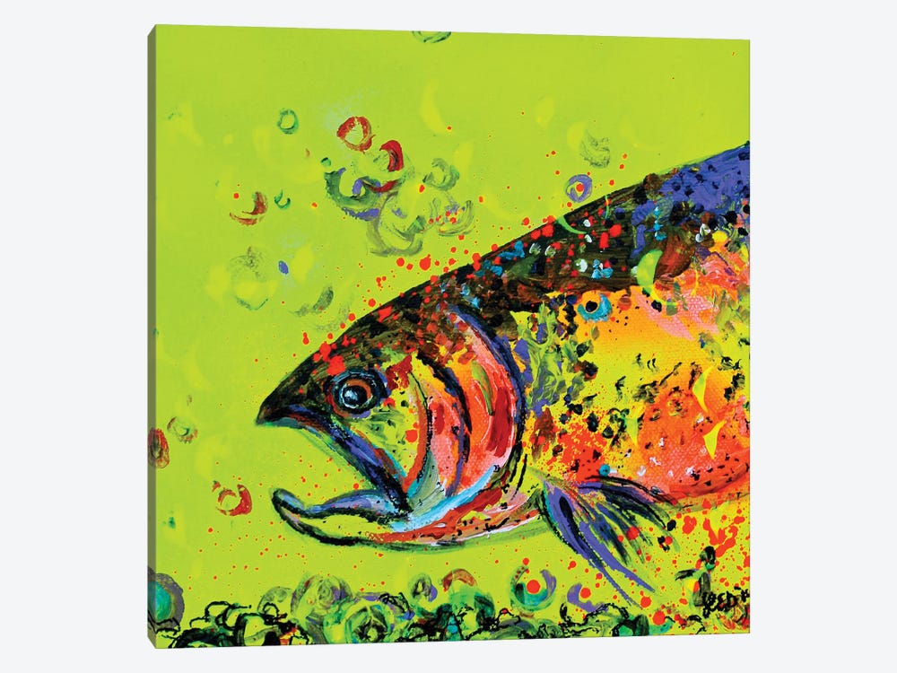 Rainbow Trout by Lindsey Dahl 1-piece Canvas Print