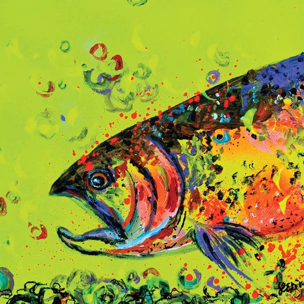 Trout: Rainbow Trout by Lindsey Dahl