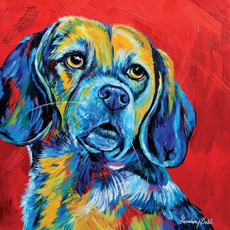Beagle